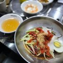 김영희동태찜앤코다리냉면 | 청송읍 여름 점심 맛집 - 김영희 동태찜 앤 코다리 냉면 청송점