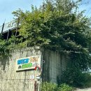 임진강 햇살 글램핑 이미지