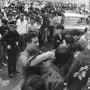 장발단속 - 포천시 | 장발단속