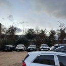 라고레스토랑 | [동탄 맛집] 동탄 분위기 좋은 레스토랑 라고 | 동탄 데이트 맛집 내돈내산 후기