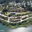 마로니에숲