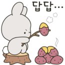 자라호텔 이미지