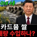 카드뮴 논란 중국산 쌀은 어떻게 우리 몸까지 들어오나 이미지