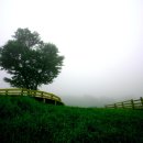 종은목장 이미지