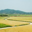 지산골 - 안산시 단원구 선부광장1로 108 | 지산골
