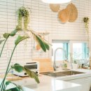 동경신촌 이미지