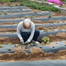 망상농장 이미지