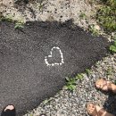 딱따구리펜션 이미지