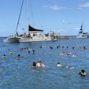 욜로스포츠 | 한국어진행] 거북이스노클링+액티비티+이야스메 무스비+컵라면(욜로하와이) = 마이리얼트립 할인코드