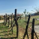 사암3리 용담 이미지