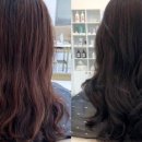 신도시카클리닉 이미지