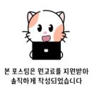 더파이터태권도장 이미지