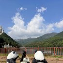 피재골약수터 | 제천 의림지 한방치유숲길 비룡담저수지 둘레길, 단풍 주차 팁