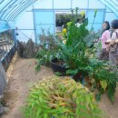 아름다운농장비밀의화원 이미지