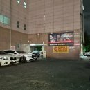 웰빙스포렉스 이미지