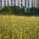 선학근린공원 이미지