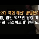 '22대 국회 해산' 기막힌 방법 제시한 신문은? 이봉규TV﻿ 이미지