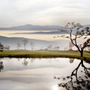 대명설악컨트리클럽 이미지