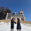 샤론목장 | 1월 2월 국내 겨울 여행지 가볼만한곳 평창 태안 여행 코스 추천