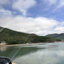 니어앤디어 - 태안군 만리포4길 20-14 | 거제독채펜션 니어앤디어 바람의언덕근처펜션