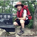 황정리 대흥사 위 이미지