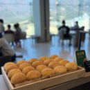 더엠브로시아 이미지