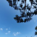 공주다방 이미지