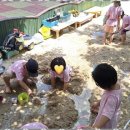 숲속늘푸른어린이집 이미지