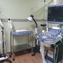 고은여성병원 | [공지] 고은여성병원 39주 5일 초산모 유도분만 실패 후 응급 제왕 수술 후기 :)_(뽀짝 탄생)