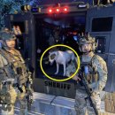 (주)펫스테이트 이미지