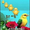 행복한 하루 이미지