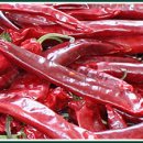 태진축산 이미지