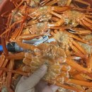 비호수산