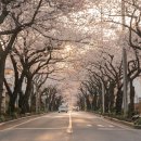 세븐일레븐신산파크점