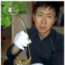 백호농장 이미지