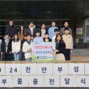 부성초 이미지