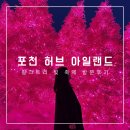 포천삼정초교 | 포천 허브아일랜드 핑크 트리 축제 주말 방문 후기(볼거리, 포토스팟, 가는법), 블랙핑크 콘서트 온 느낌