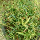 금사농장 이미지