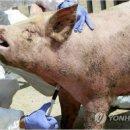 (주)우진바이오 이미지