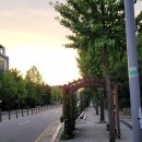 연일공원 입구 이미지