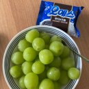 동읍1273 | [200901-12] 9월 첫번째 일상 기록 / 남편생일상 / 끊이지 않는 먹부림 / 창원맛집뽀개기 / 본포생태...