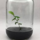 1-11호어린이공원 이미지