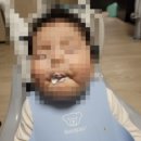 지성목장 이미지