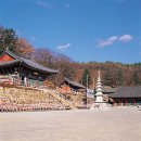 영인 이미지