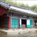 통영터널로가로수 이미지