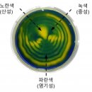 소리그림 이미지