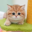 송이로14길 이미지