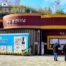 무지개할인마트 | 충북 영동 드라이브 가볼만한곳 추천 영동와인터널 입장료 할인