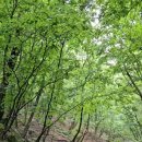 작은쉼터야영장 이미지