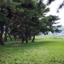 솔밭개울 이미지